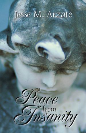 Cover of the book Peace from Insanity by Geoff Feiling