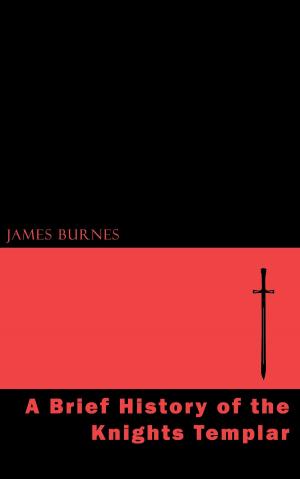 Cover of the book A Brief History of the Knights Templar by James Schmitz