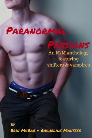 Cover of the book Paranormal Passions by Erin McRae