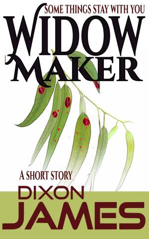 Book cover of Widow Maker