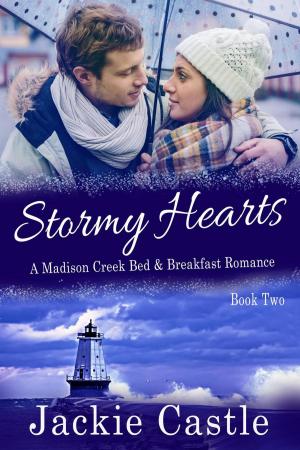 Cover of the book Stormy Hearts by Sandra McGregor