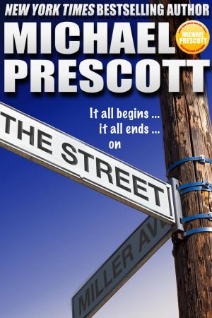 Cover of the book The Street by Linda Acaster