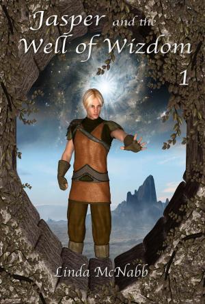 Cover of the book Jasper and the Well of Wizdom by JR Hamilton