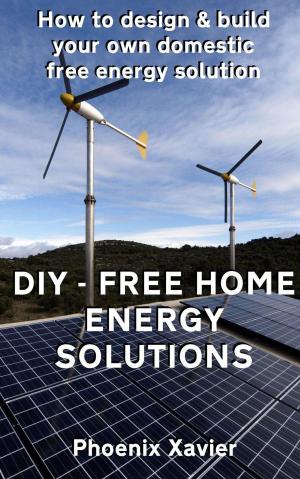 Cover of the book DIY Free Home Energy Solutions: How to Design and Build Your own Domestic Free Energy Solution by Natalie Stevens