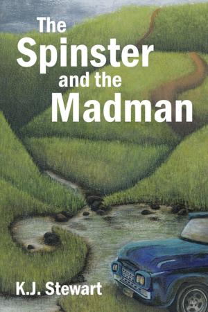 Cover of the book The Spinster and the Madman by Codyjean