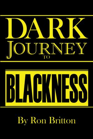 Cover of the book Dark Journey to Blackness by Danielle Allen