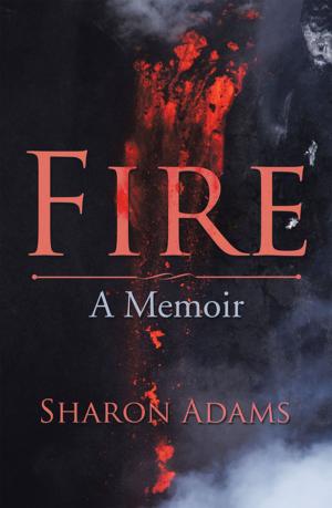 Cover of the book Fire by Lois E. Bradford