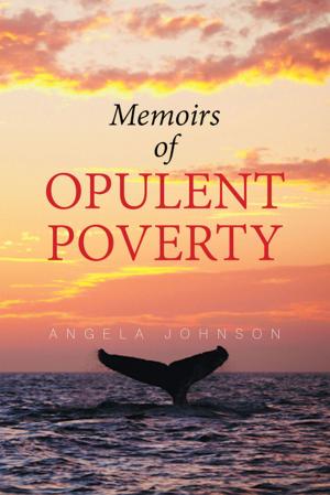 Cover of the book Memoirs of Opulent Poverty by Pastor Paul B Dyal
