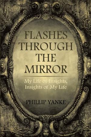 Book cover of Flashes Through the Mirror