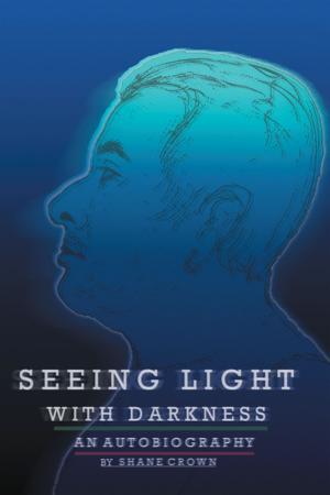 Cover of the book Seeing Light with Darkness by Ying-chien Chang