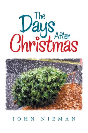 Cover of the book The Days After Christmas by LA Long