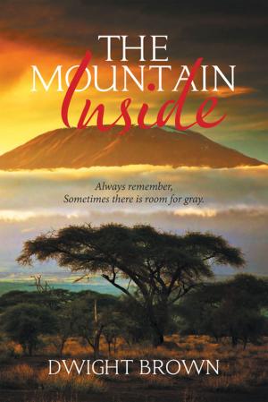 bigCover of the book The Mountain Inside by 