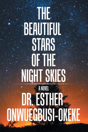 bigCover of the book The Beautiful Stars of the Night Skies by 