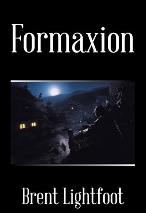 Cover of the book Formaxion by Christopher Egbulefu