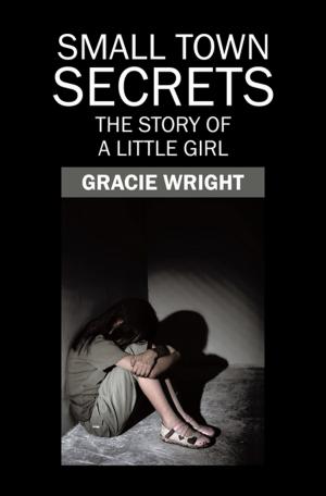 Cover of the book Small Town Secrets by William A. Moore