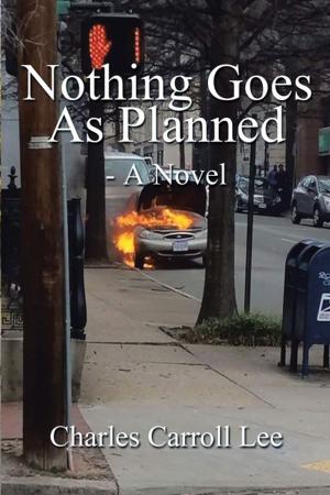 Cover of the book Nothing Goes as Planned - a Novel by Dr. David Rabeeya