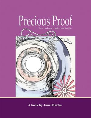 Cover of the book Precious Proof by Rebecca A. Vorsah