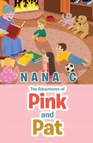 Cover of the book The Adventures of Pink and Pat by Bearraigh Lunt