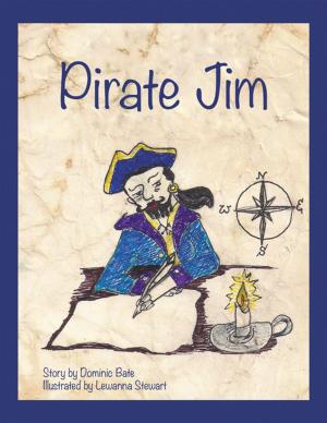 bigCover of the book Pirate Jim by 
