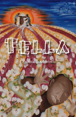 Cover of the book Fella by Jerry Pia