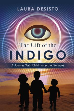 Cover of the book The Gift of the Indigo by Michael Curry