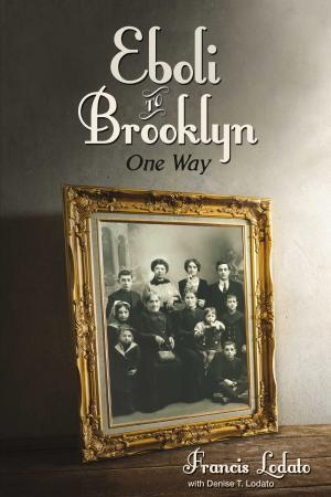 Cover of the book Eboli to Brooklyn - One Way by Anne Hartley