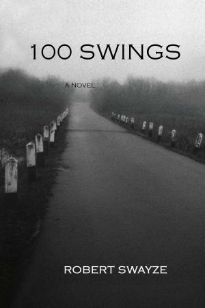 Cover of the book 100 Swings by Lisa Marie Byrd