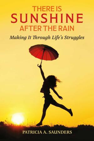 Cover of the book There Is Sunshine After the Rain by Alona Feroze