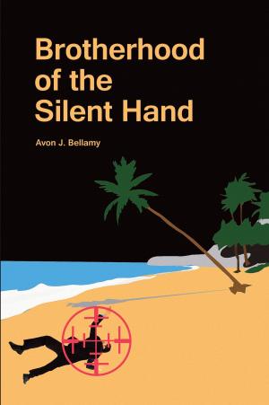 Cover of the book Brotherhood of the Silent Hand by Count Mark Corhan