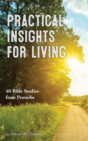 Cover of the book Practical Insights for Living: 40 Bible Studies from Proverbs by Alexandra  Bernard-Simmons