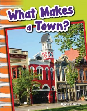 Cover of the book What Makes a Town? by Christina Hill