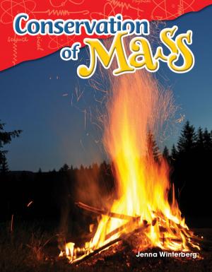 Cover of the book Conservation of Mass by Lisa Greathouse