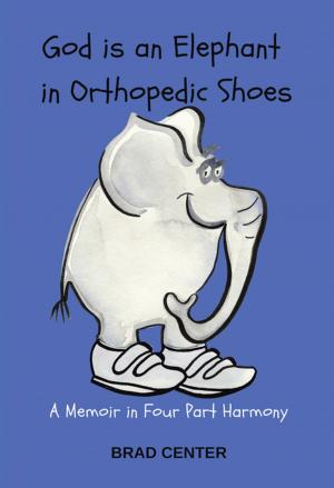 Cover of the book God Is an Elephant in Orthopedic Shoes by C.G. Vezina