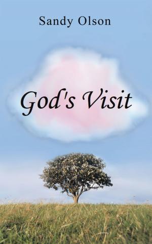 Cover of the book God’s Visit by Sandy Rivers