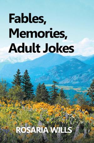 Cover of the book Fables, Memories, Adult Jokes by Hasan Sonsuz Celiktas