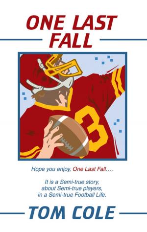 Cover of the book One Last Fall by Carey Scheppner