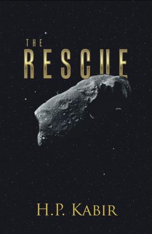 Cover of the book The Rescue by Lisa N. Aldridge - Jones