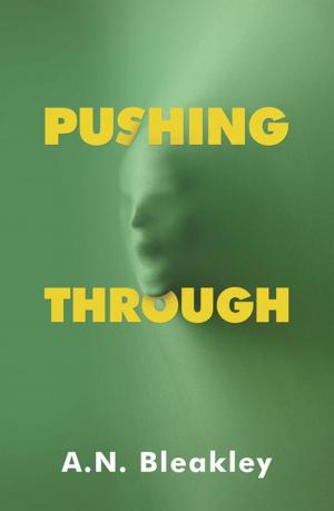 Cover of the book Pushing Through by Monni Conley