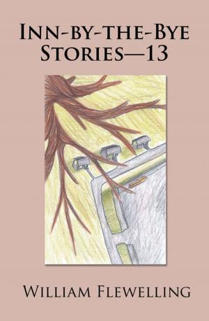 Book cover of Inn-By-The-Bye Stories—13