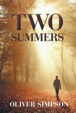 Cover of the book Two Summers by David Rosenfeld