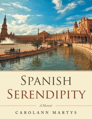 Cover of the book Spanish Serendipity by D.M. Palmore