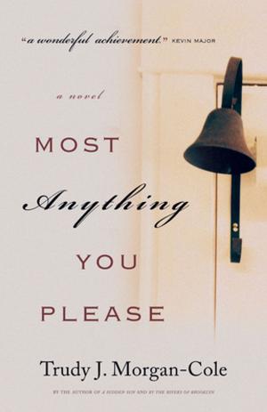 Cover of the book Most Anything You Please by Eric Sparling