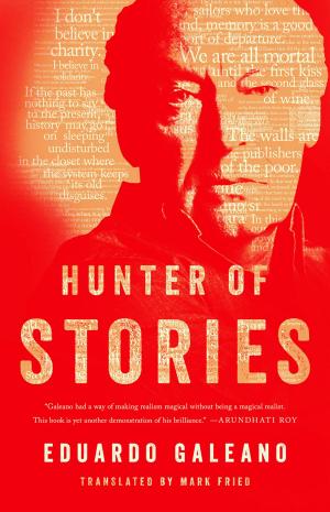 Cover of the book Hunter of Stories by David Goldblatt