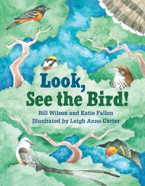 Cover of the book Look, See the Bird! by Lauren Feder, Letrinh Hoang
