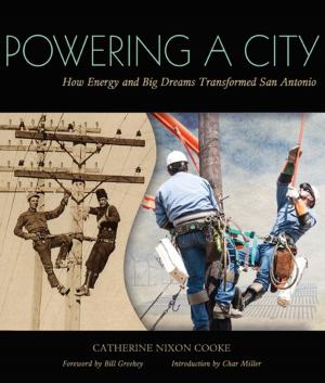 Cover of the book Powering a City by Peter Turchi