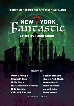 Cover of the book New York Fantastic by Phil Foglio, Kaja Foglio