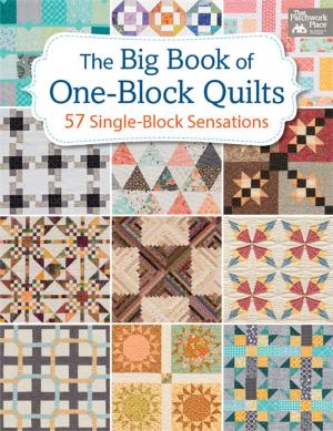Cover of the book The Big Book of One-Block Quilts by Robin Kingsley