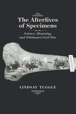 bigCover of the book The Afterlives of Specimens by 