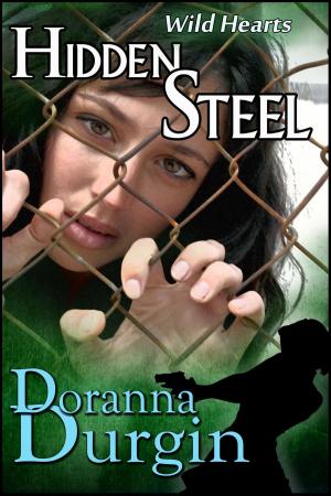 Cover of the book Hidden Steel by Christine Lamer