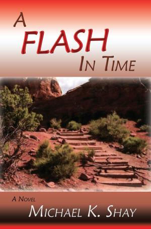 Cover of the book A Flash in Time by Robert K. Swisher Jr.